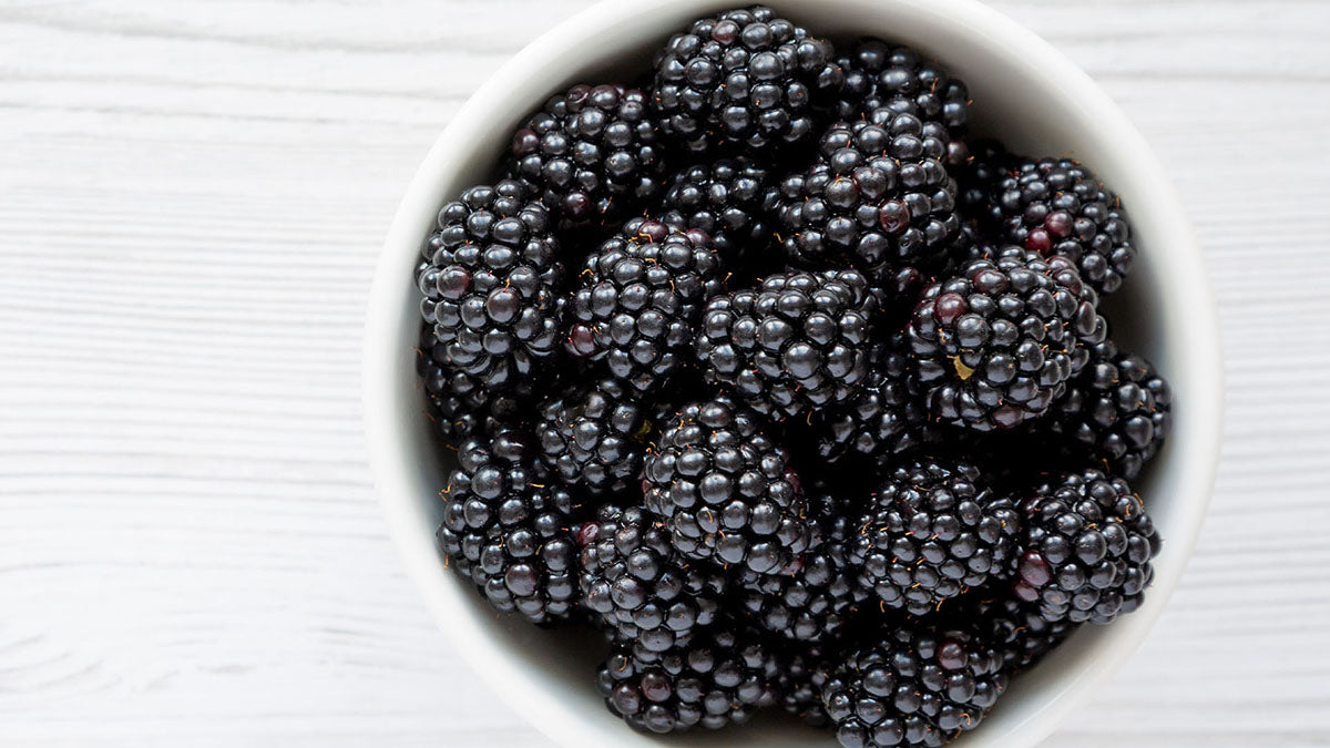 Can Dogs Eat Blackberries? A guide to safe feeding
