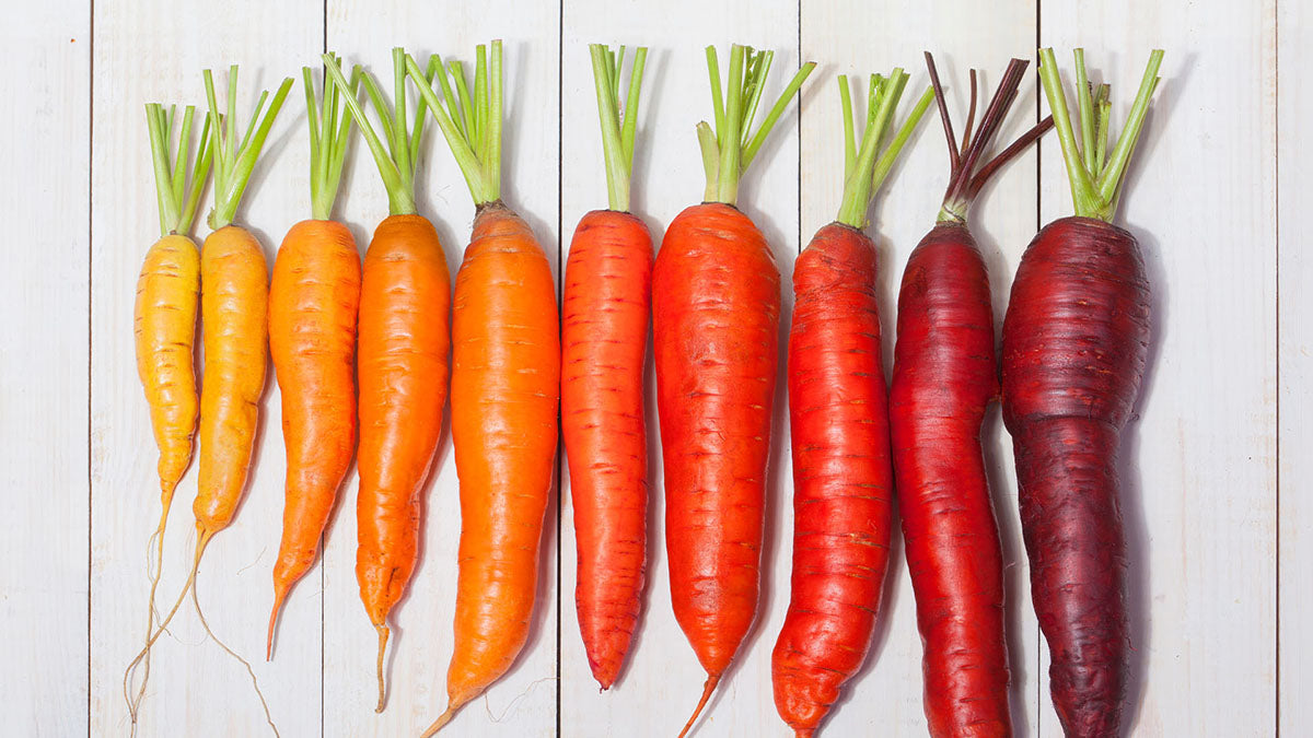 Orange and red carrots on a white wooden background. Carrots are a safe and healthy treat for dogs.