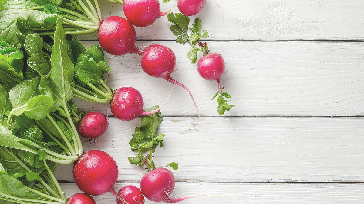 Can Dogs Eat Radishes? Safe servings, risks, and when to skip them