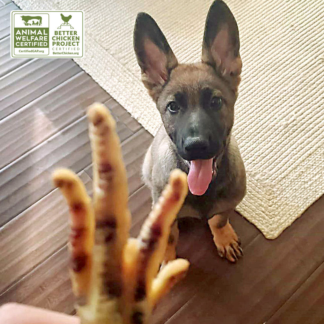 Chicken Feet for Dogs Made in the USA