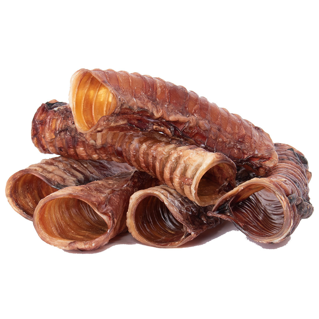 Beef Trachea for Dogs | Sourced & Made in USA | 4-6 Inch