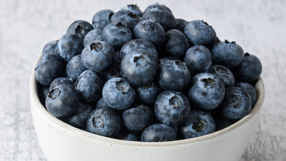 A white bowl filled with fresh blueberries