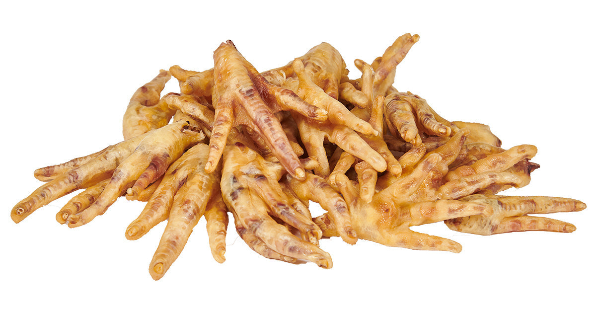 Can Dogs Eat Chicken Feet