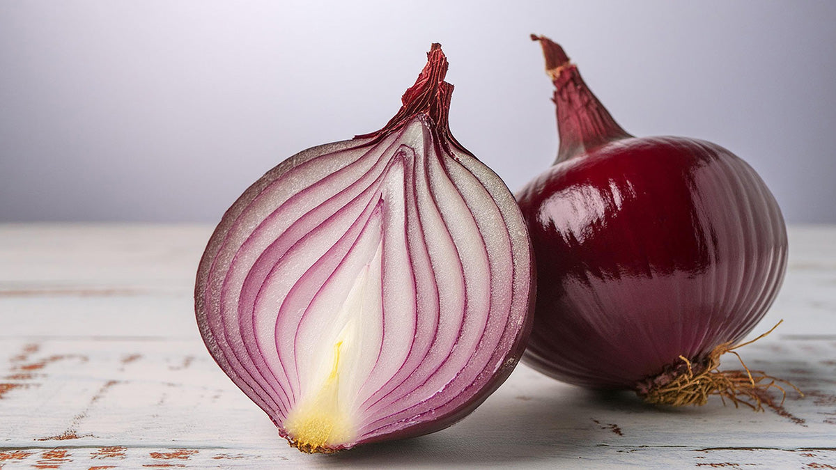 Can Dogs Eat Onions? Recognizing and preventing Allium poisoning