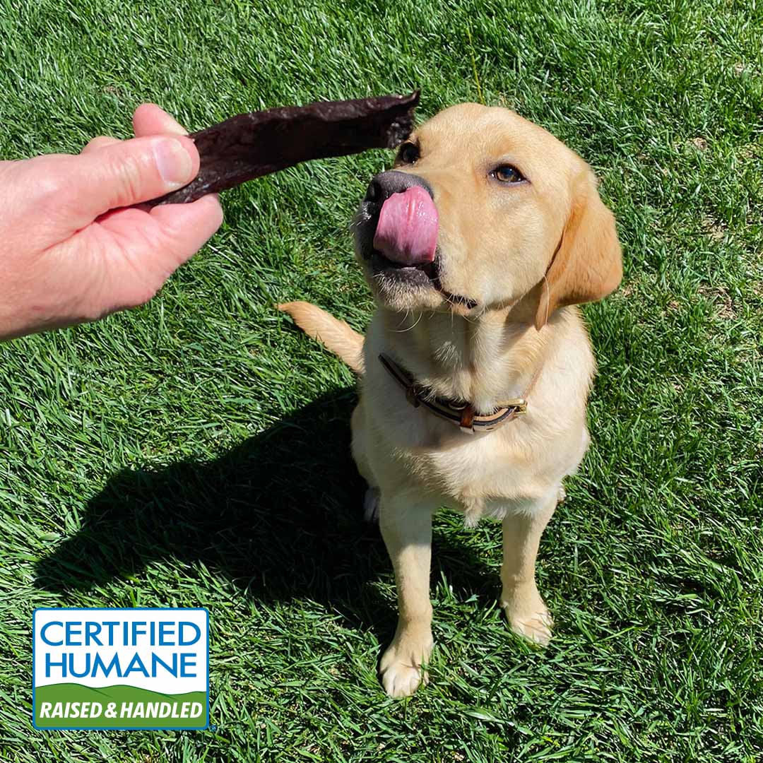 Beef Heart for Dogs Made in the USA