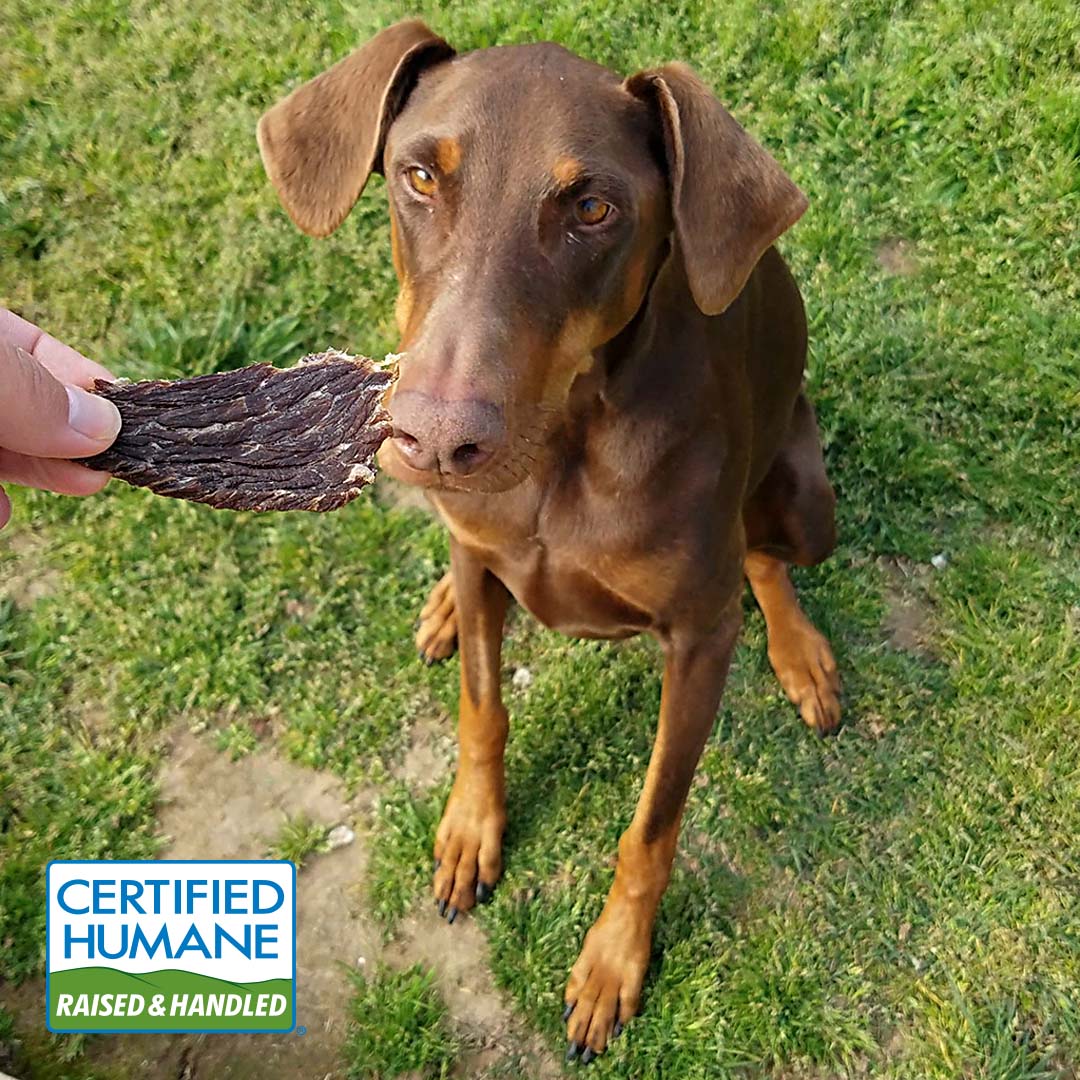 Beef Jerky for Dogs Made in the USA
