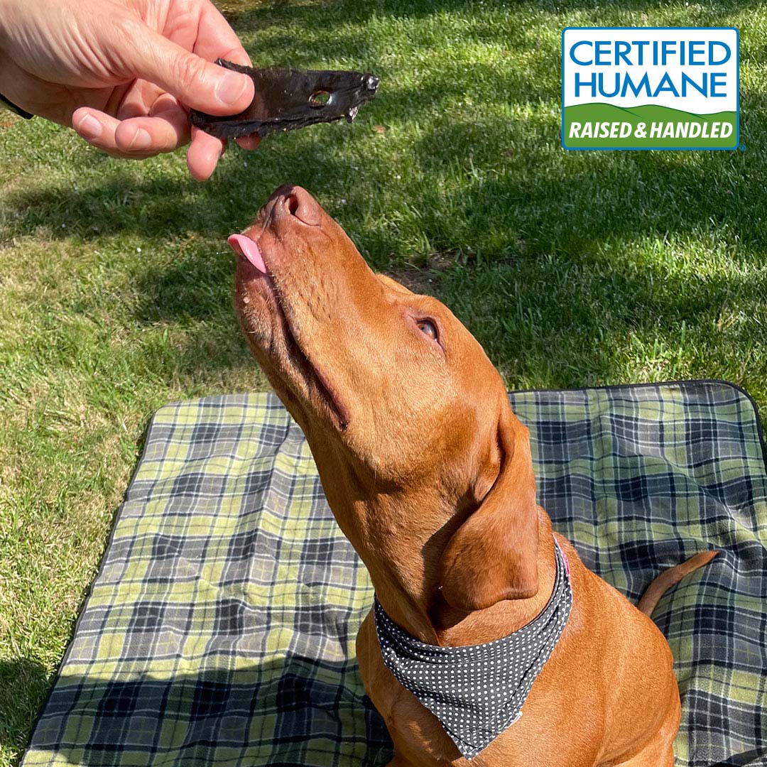 Beef Liver for Dogs Made in the USA