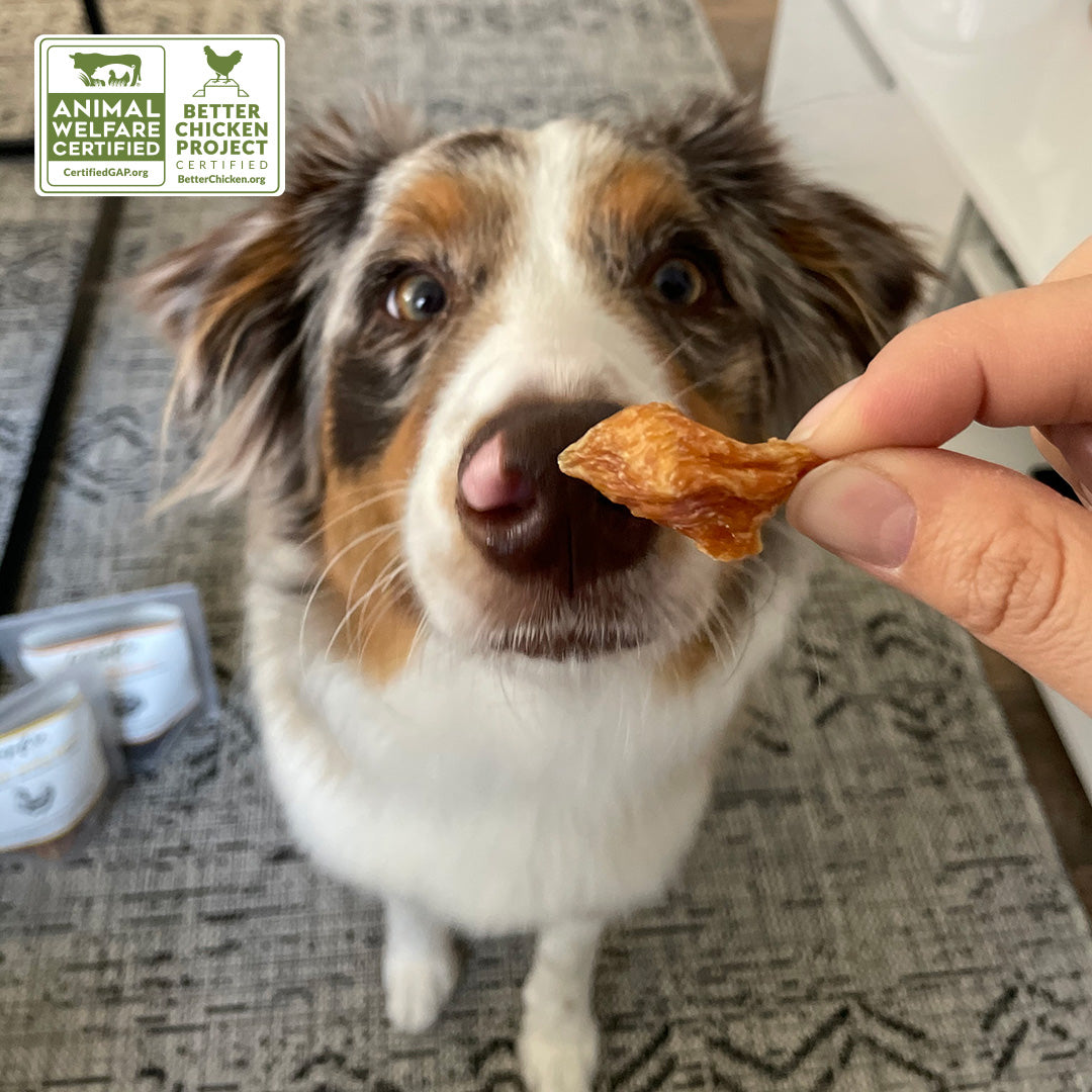 Chicken Jerky Dog Treats Made in the USA