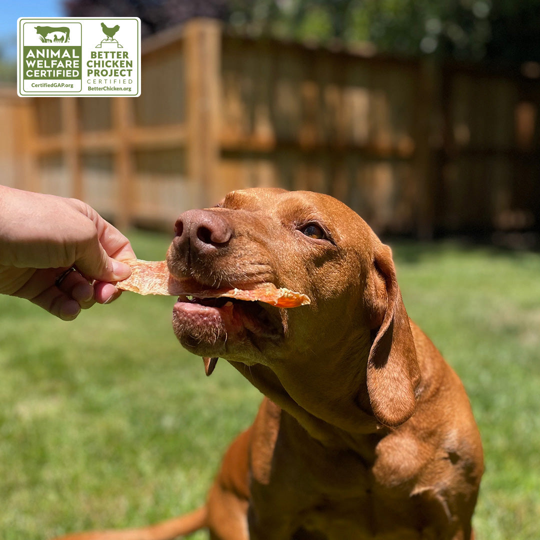 Chicken Jerky for Dogs Made in the USA | Certified by Global Animal Partnership