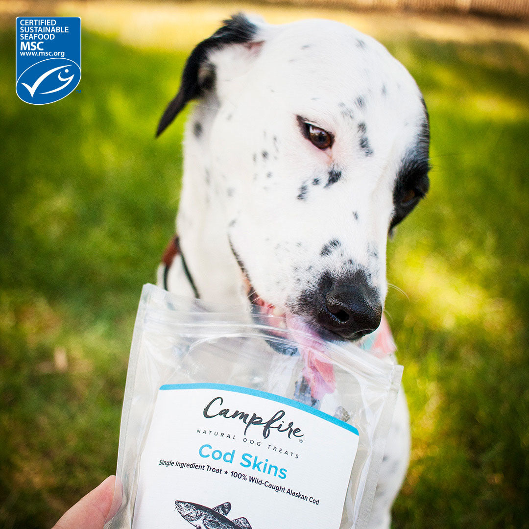 Cod Skin Treats for Dogs Made in the USA | Certified Sustainable Seafood by MSC