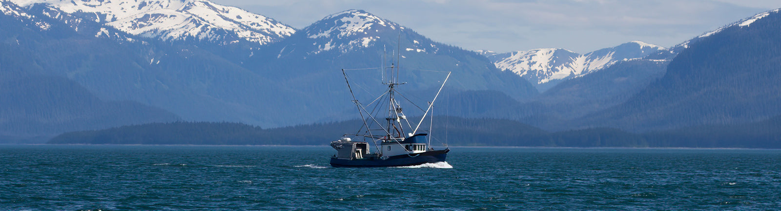 Fish Treats for Dogs & Cats | Sources & Made in the USA