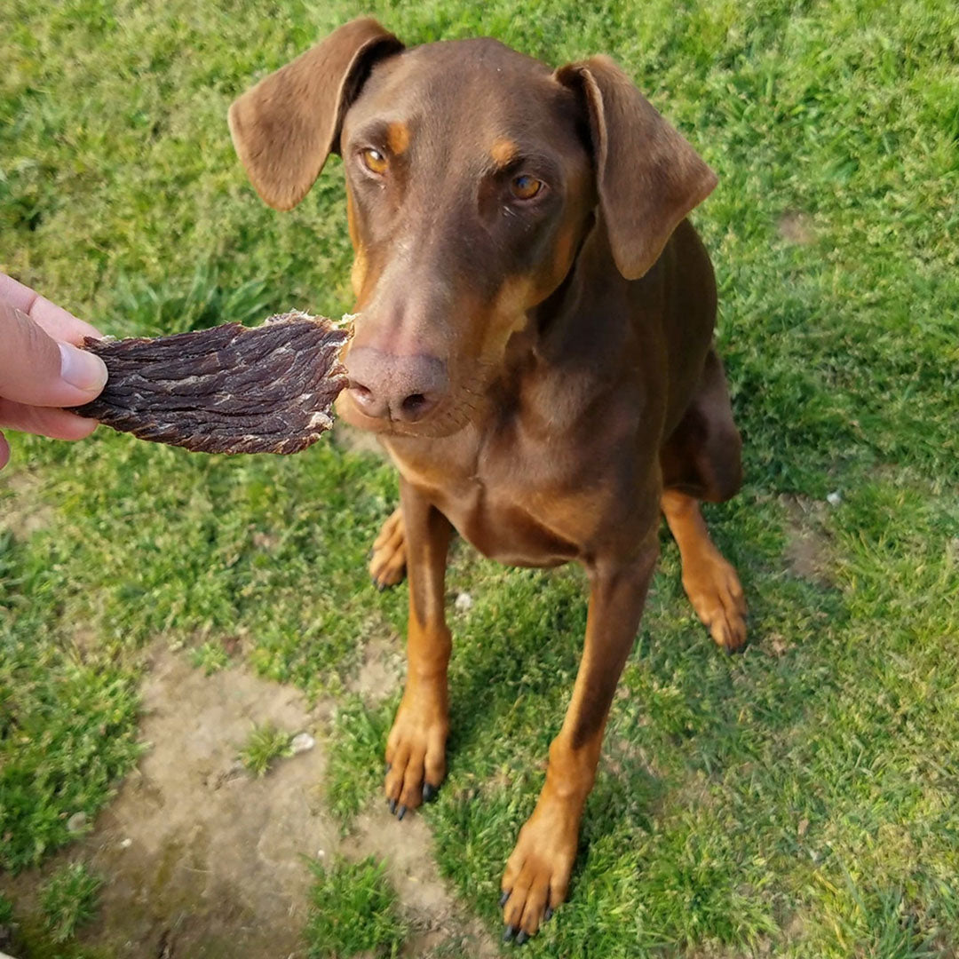 Natural Dog Treats Made in the USA | American Beef