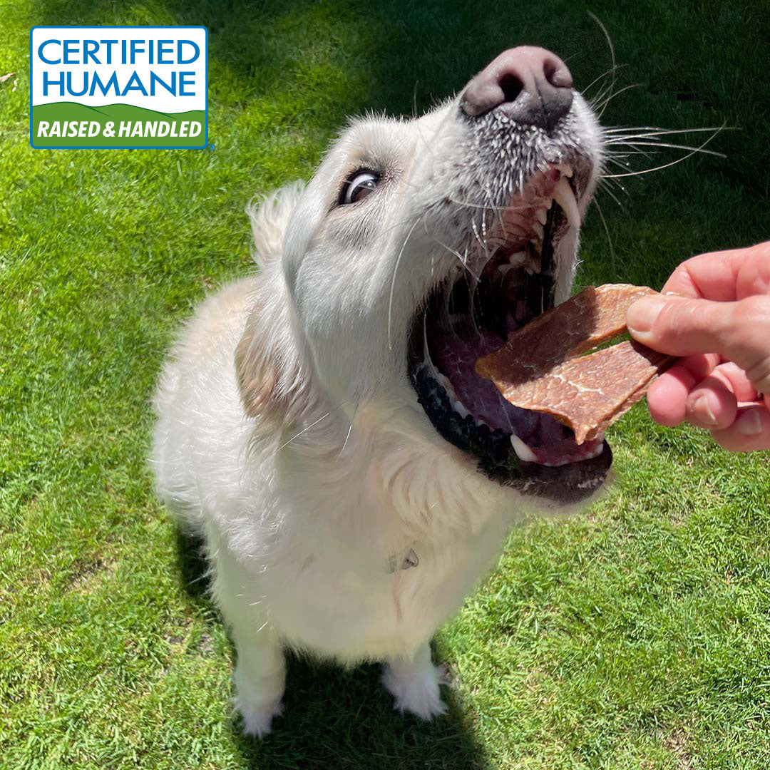 Pork Jerky for Dogs Made in the USA