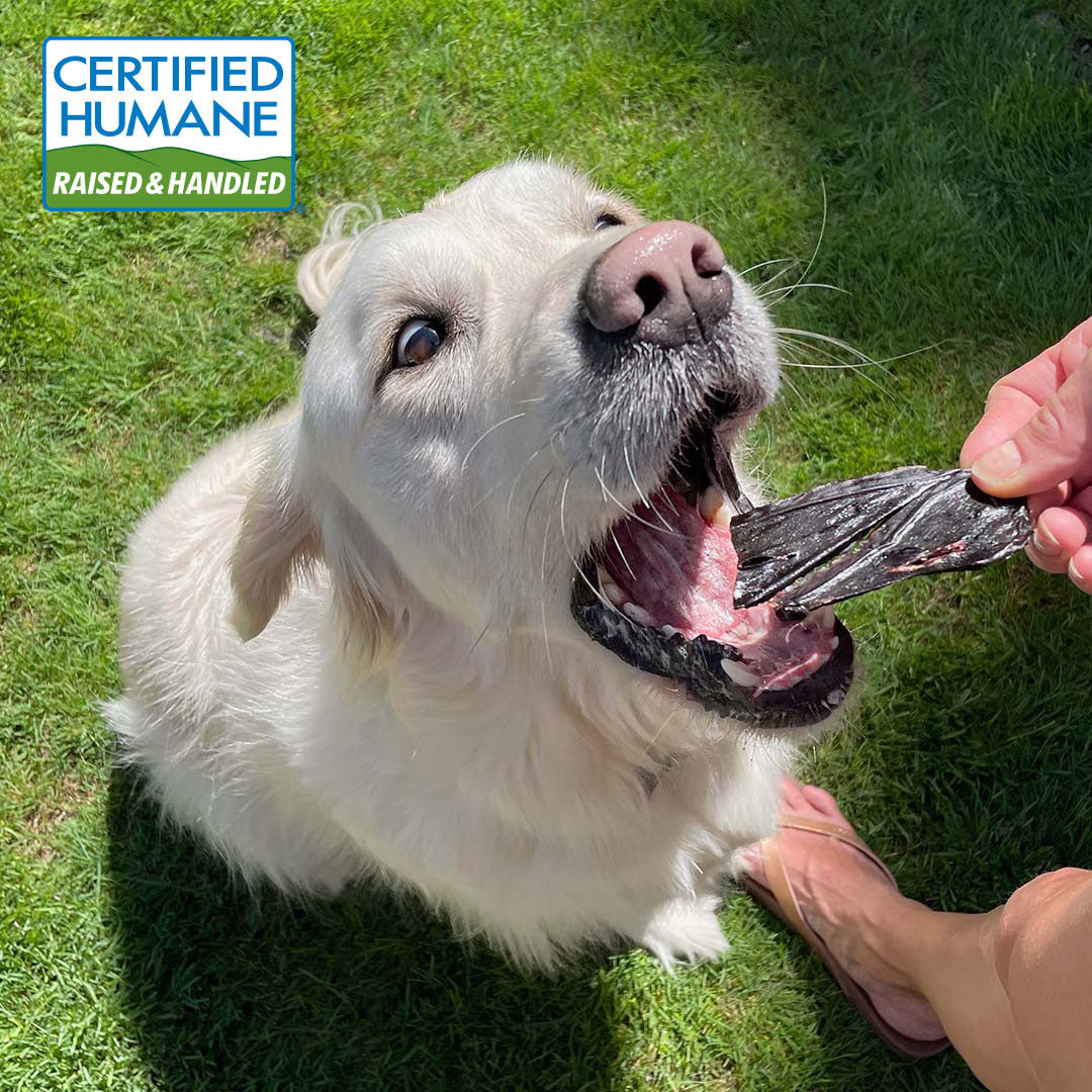 Pork Liver for Dogs Made in the USA