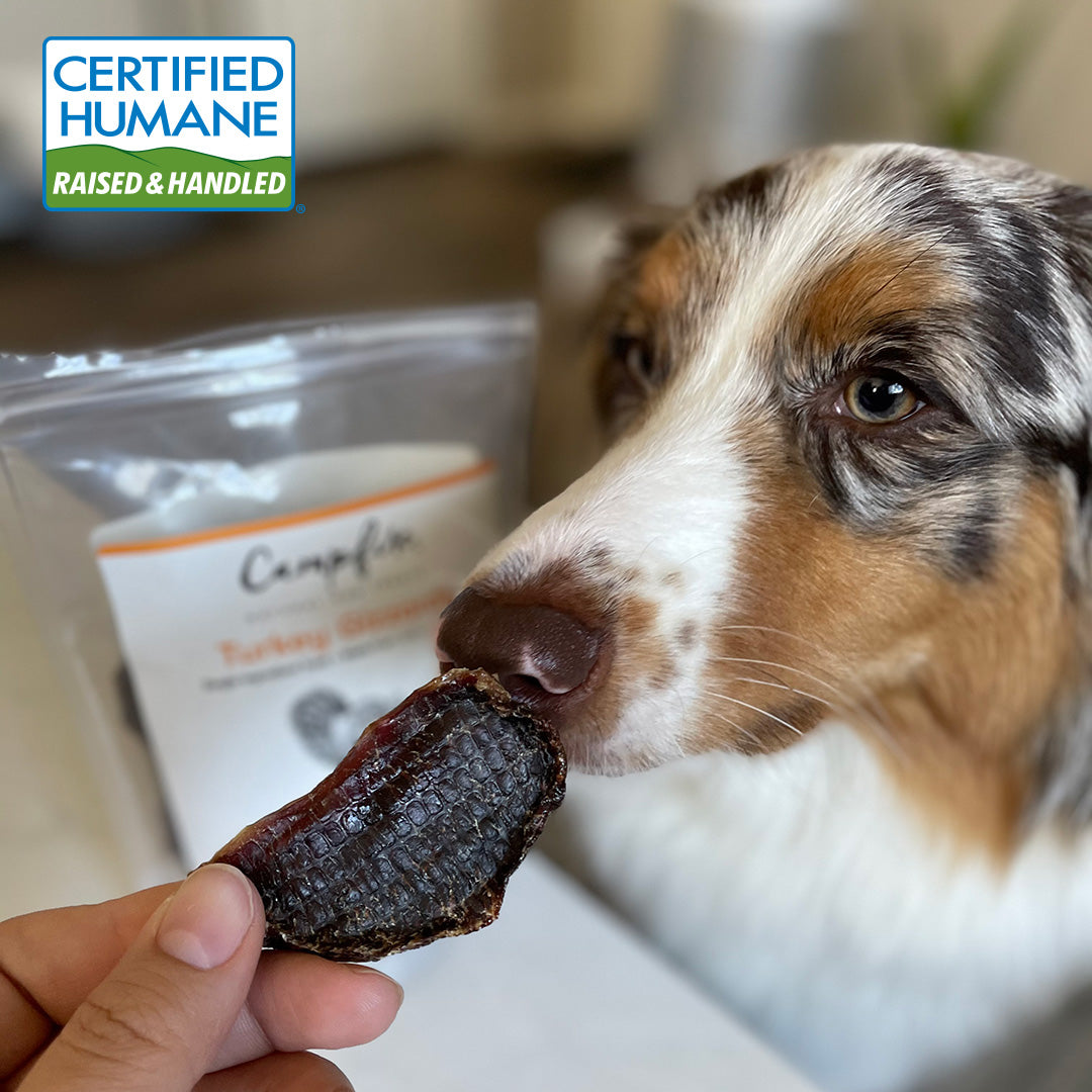 Turkey Gizzards for Dogs Made in the USA