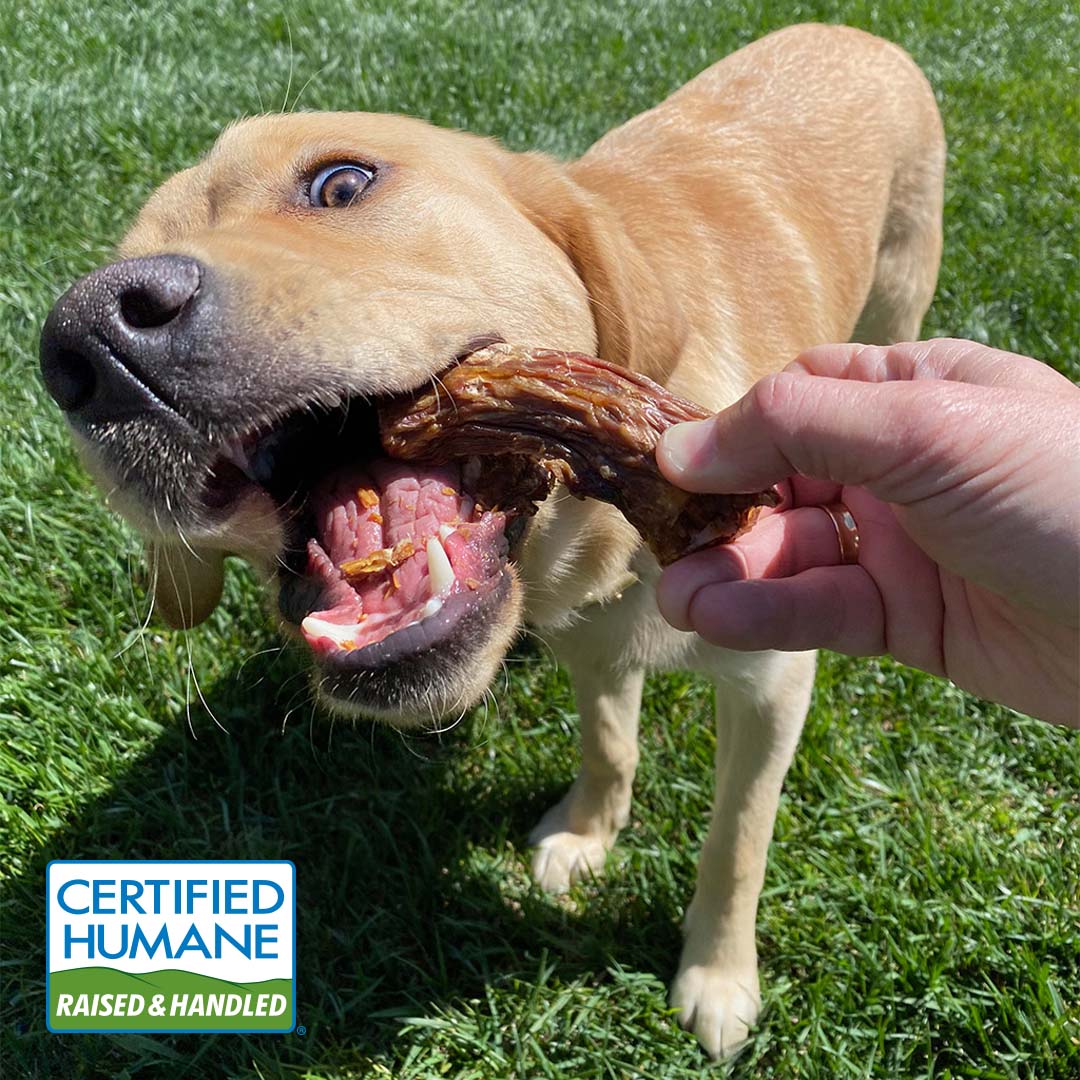 Turkey Necks for Dogs Made in the USA