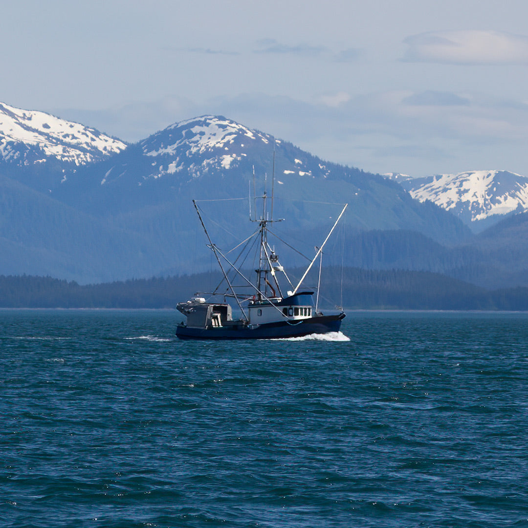 Ethically Sourced Fish | Dog Treats & Chews