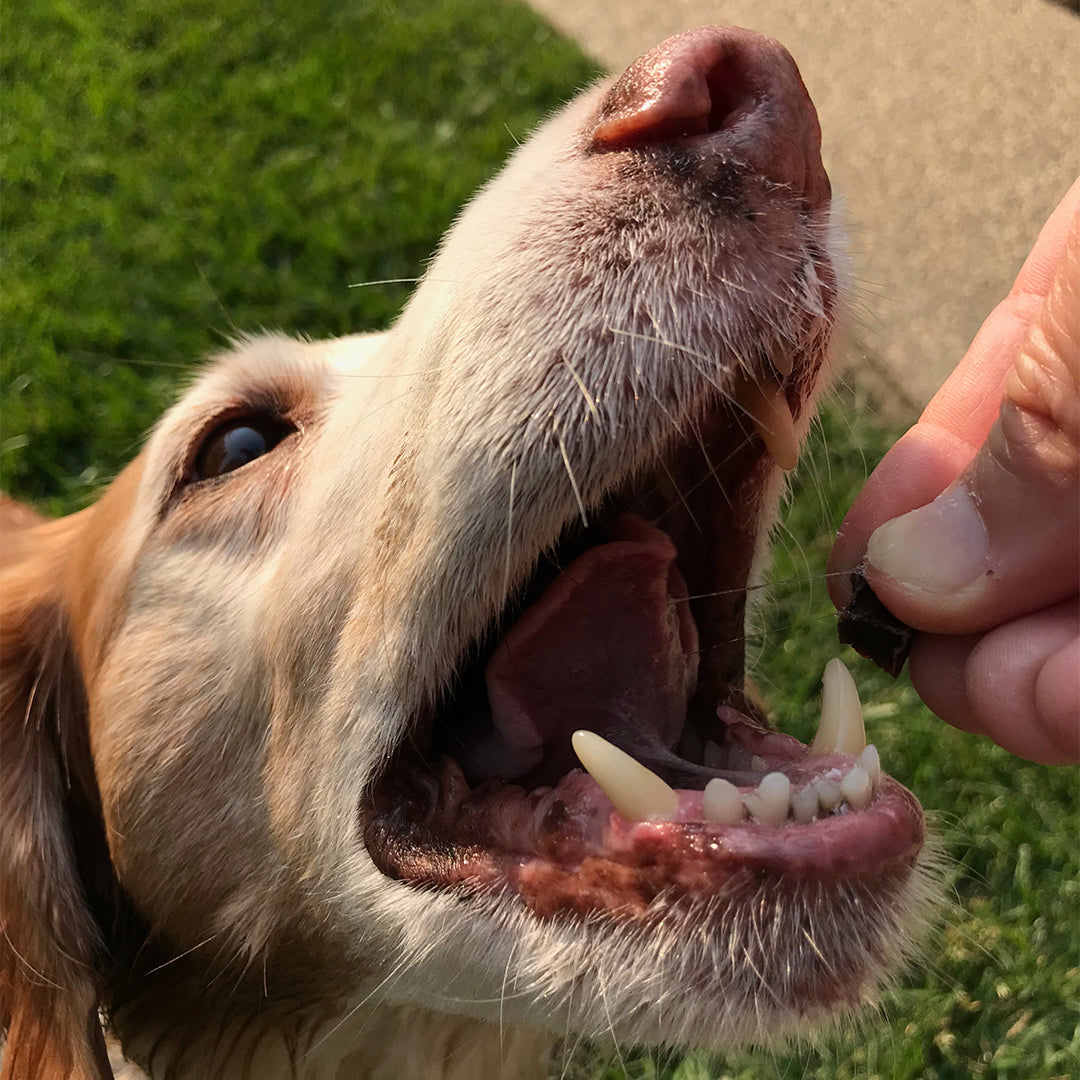 Beef Heart Dog Treats Made in the USA