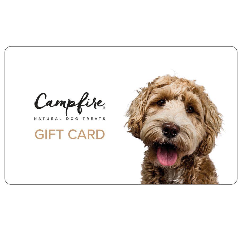 Campfire Treats E-Gift Card for Dog Lovers