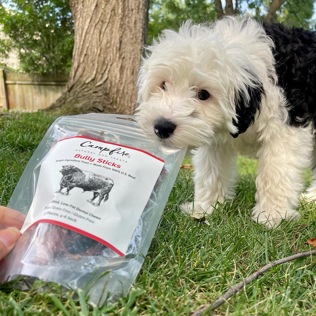 Odor-Free Bully Sticks for Dogs | 4-6 Inch | Campfire Treats