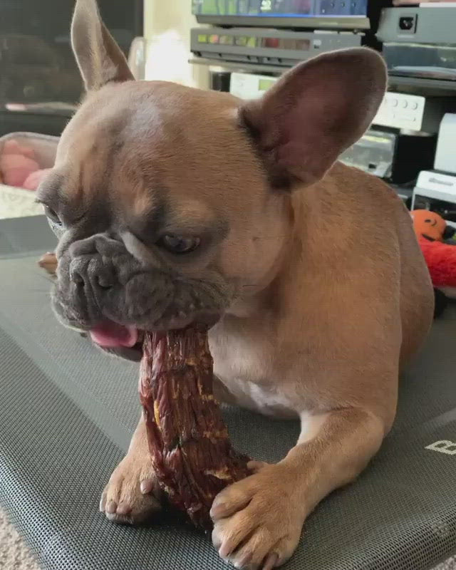 Split Turkey Necks for Dogs